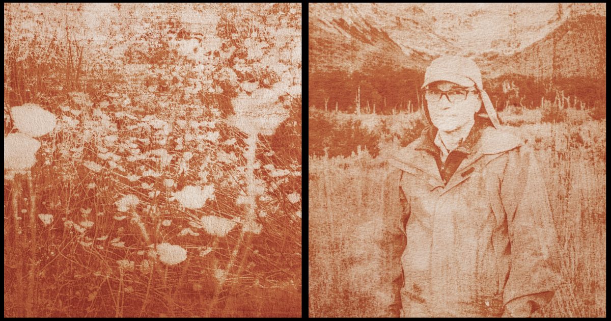 Left: Detail of flowers near the Andorra Valley.Right: Portrait of CADIC (Austral Center for Scientific Research) specialist Julio Escobar during a walk at Tierra Mayor Valley.