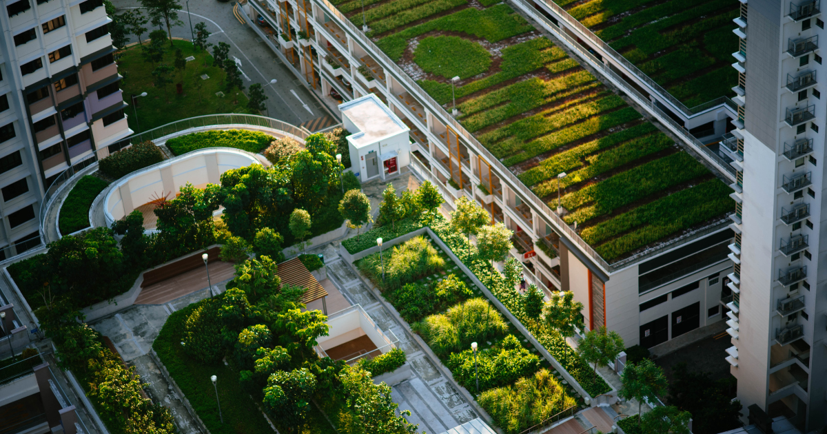Rooftop garden. Urban green spaces are another form of nature-based solution that improve air and water quality while regulating temperature.