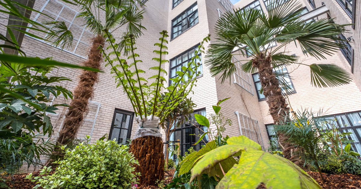 The courtyard garden provides fresh herbs that are used to flavor meals.